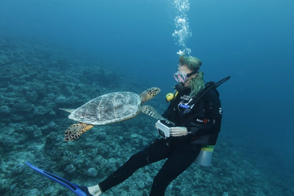 House Reef Diving[Photo courtesy of Eriyadu Maldives]
