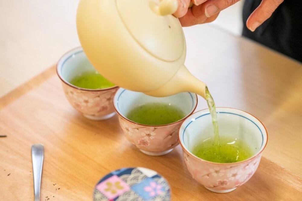 일본 사가현 우레시노 차