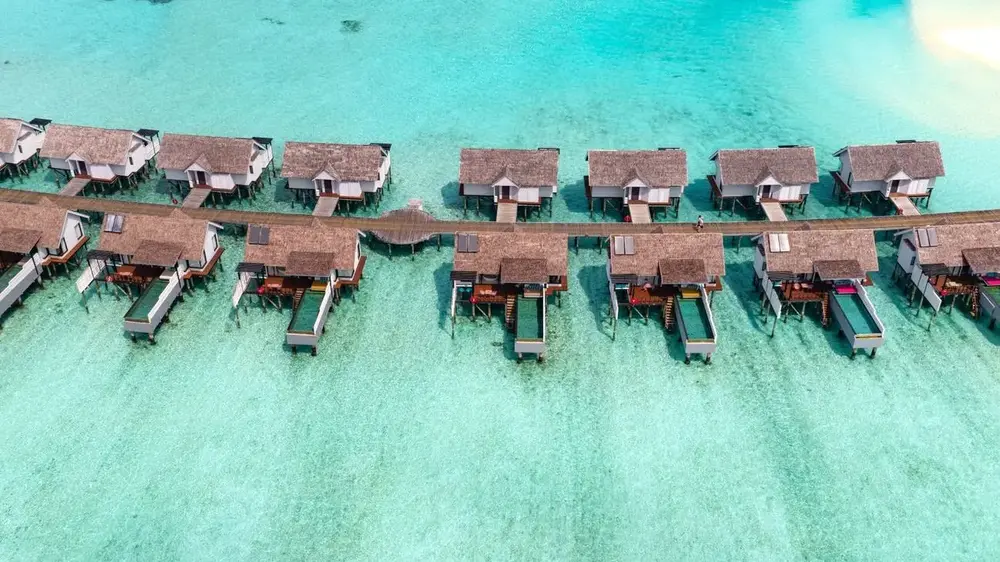 오젠 라이프 마두, 블랙 프라이데이 최대 $320 할인! 6일간의 한정 특가